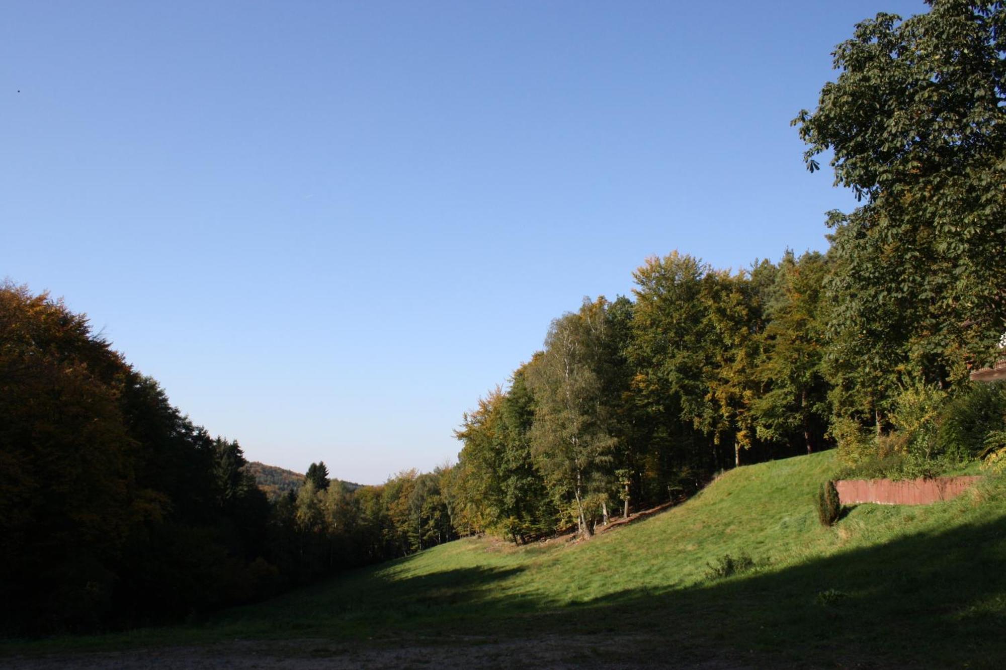 Wald-Hotel Heppe Dammbach Buitenkant foto