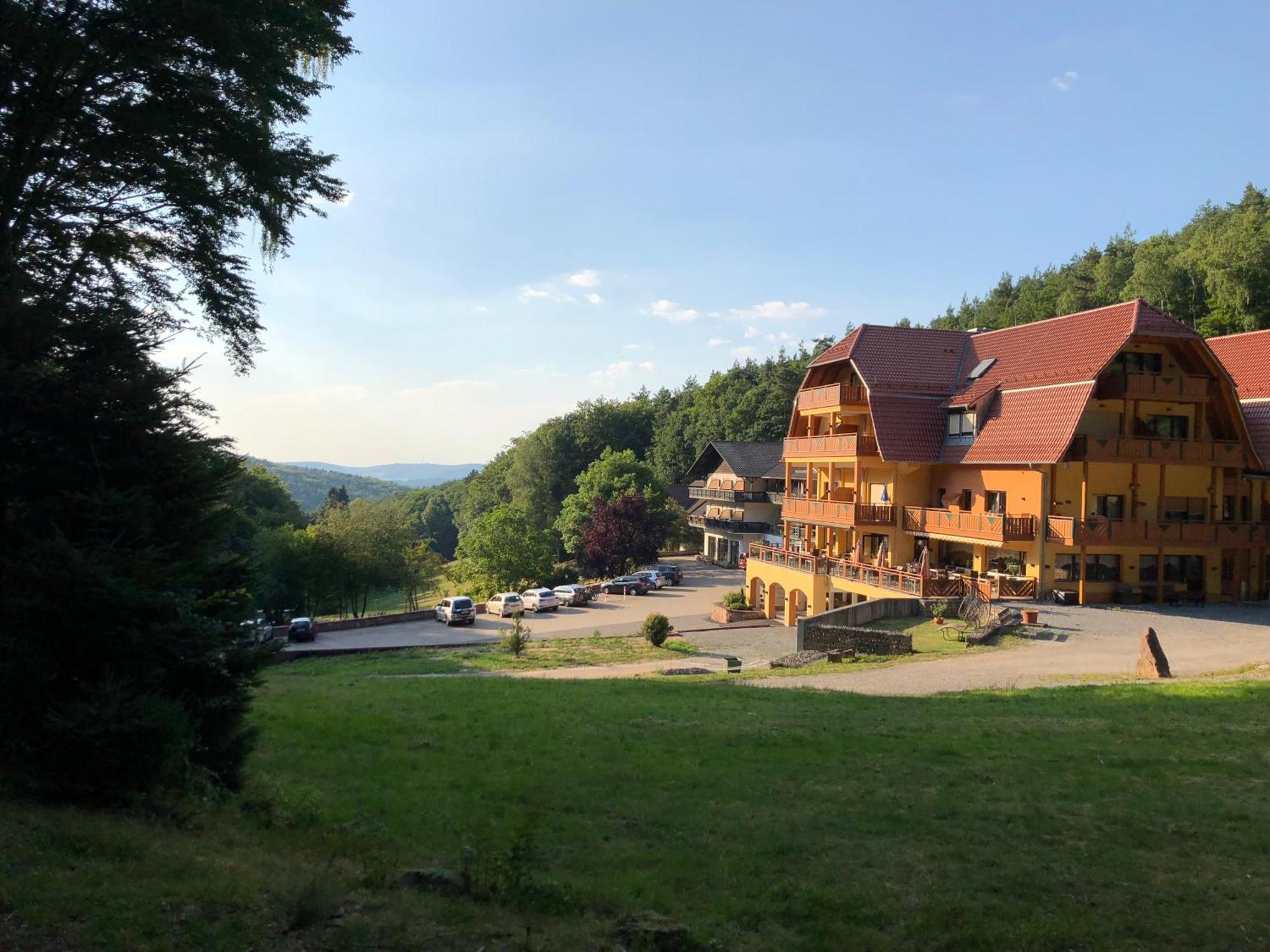 Wald-Hotel Heppe Dammbach Buitenkant foto
