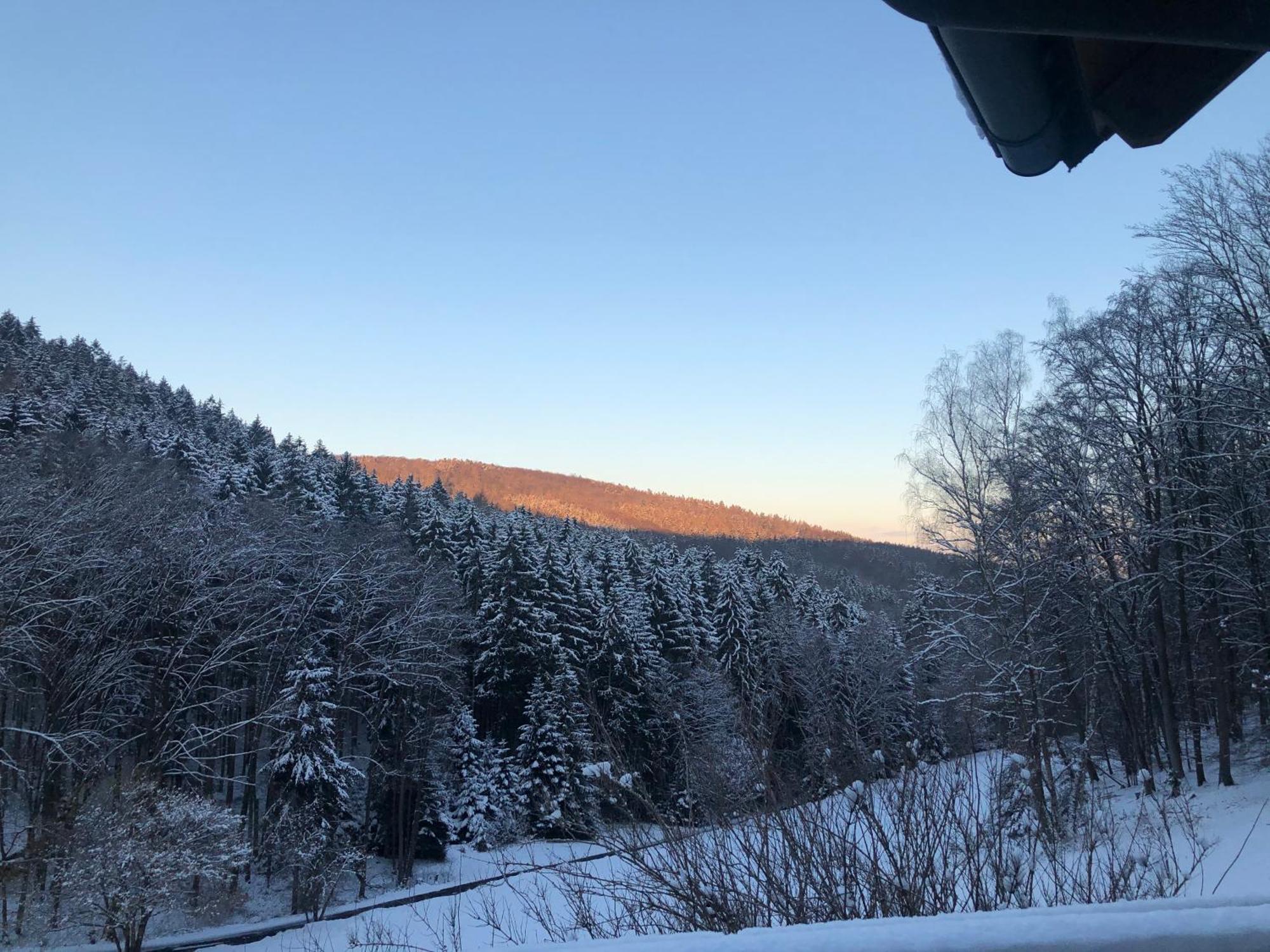 Wald-Hotel Heppe Dammbach Buitenkant foto