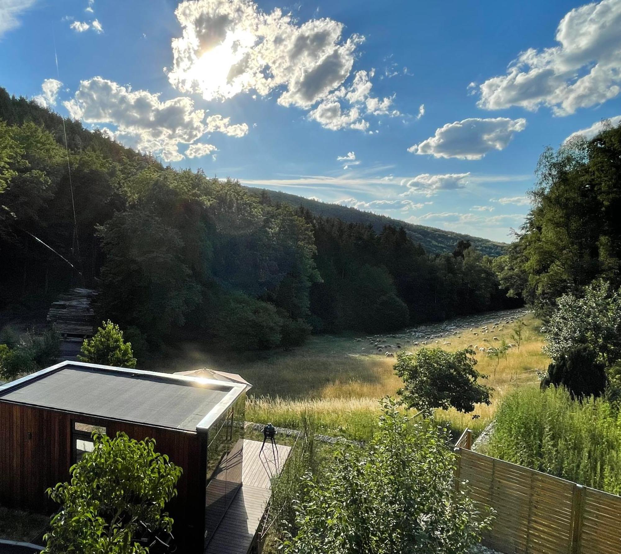 Wald-Hotel Heppe Dammbach Buitenkant foto