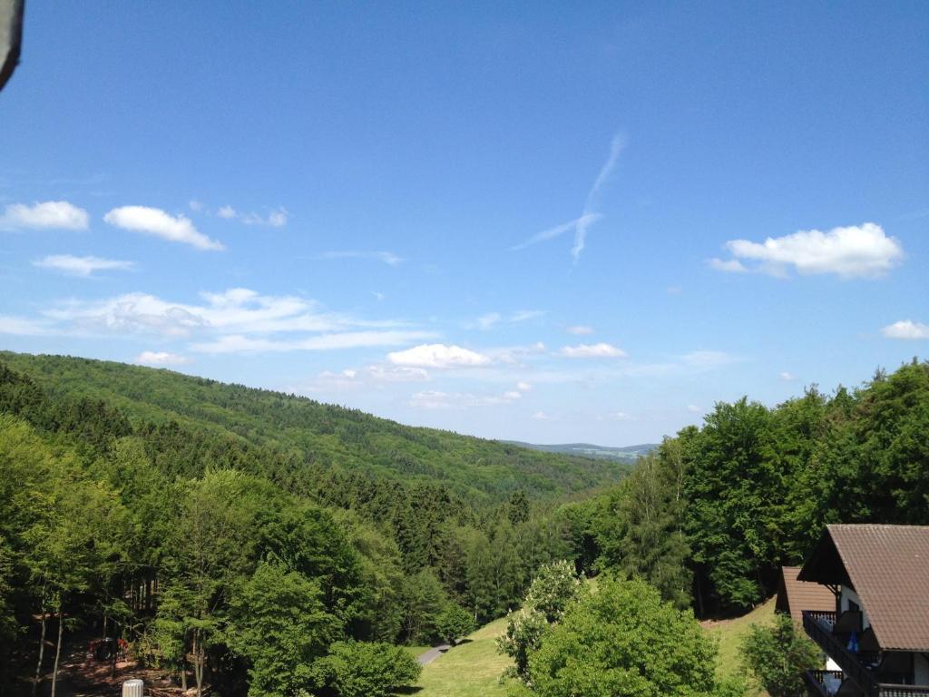 Wald-Hotel Heppe Dammbach Buitenkant foto