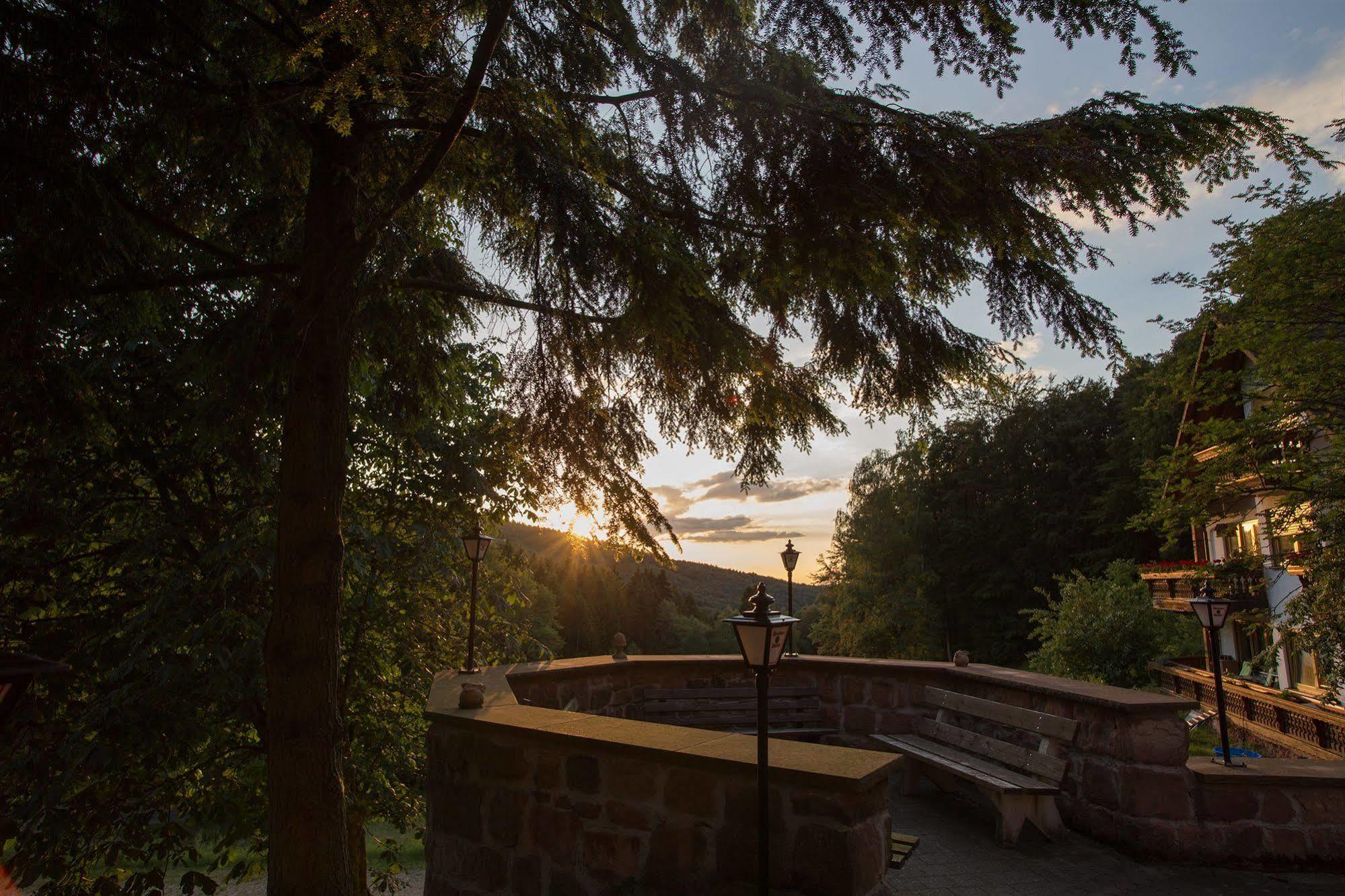 Wald-Hotel Heppe Dammbach Buitenkant foto