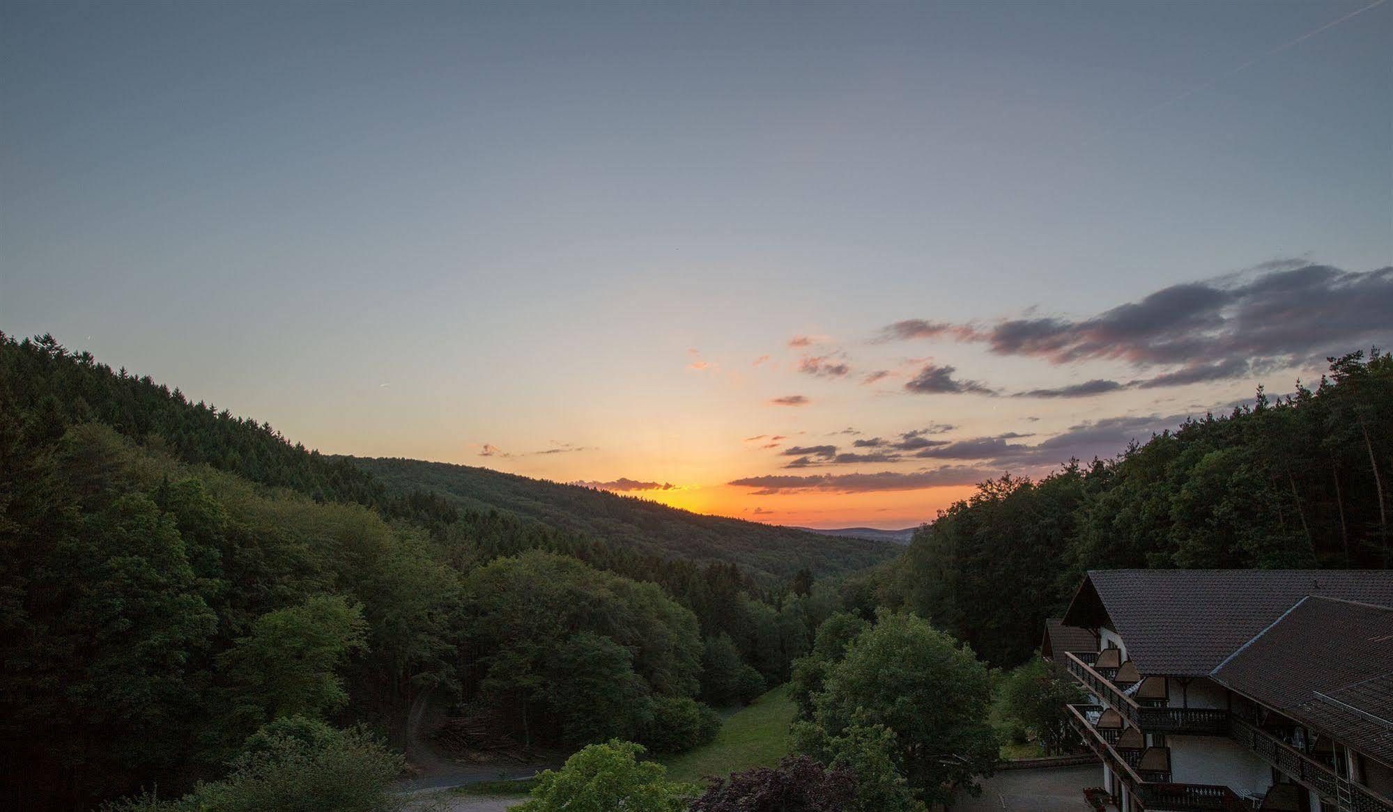 Wald-Hotel Heppe Dammbach Buitenkant foto